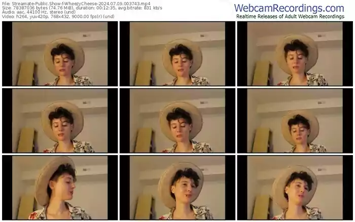 2024/07/09/streamate-wheezycheese-00-37-43