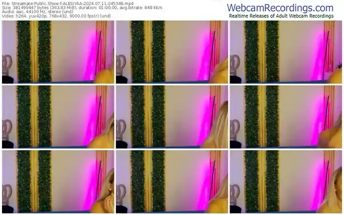 2024/07/11/streamate-alesiyaa-04-53-48