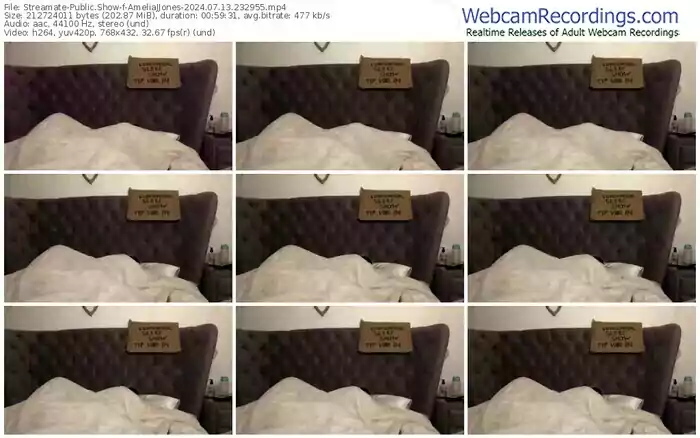 2024/07/13/streamate-ameliajjones-23-29-55