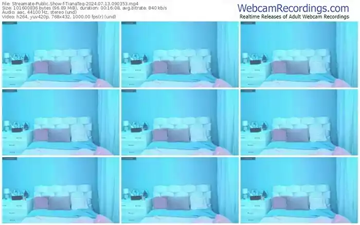 2024/07/13/streamate-tianateq-09-03-53