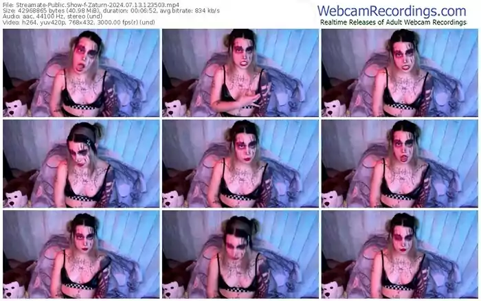 2024/07/13/streamate-zaturn-12-35-03