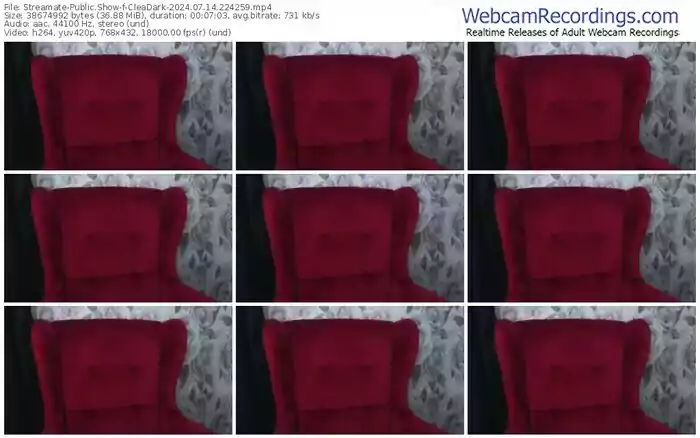 2024/07/14/streamate-cleadark-22-42-59