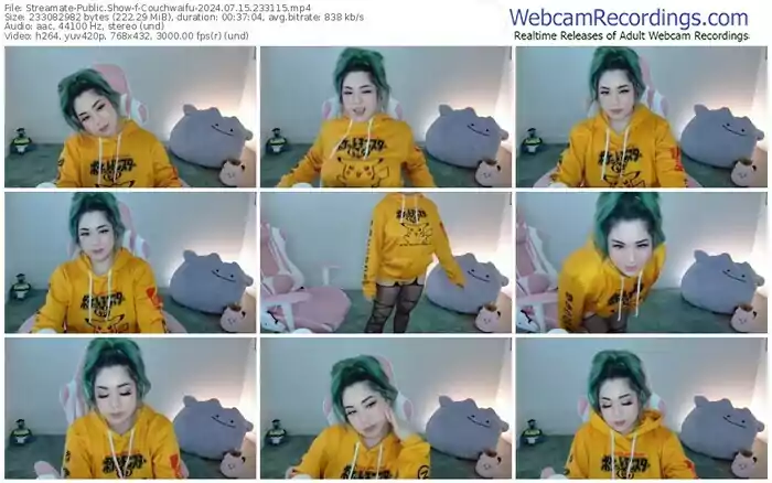 2024/07/15/streamate-couchwaifu-23-31-15