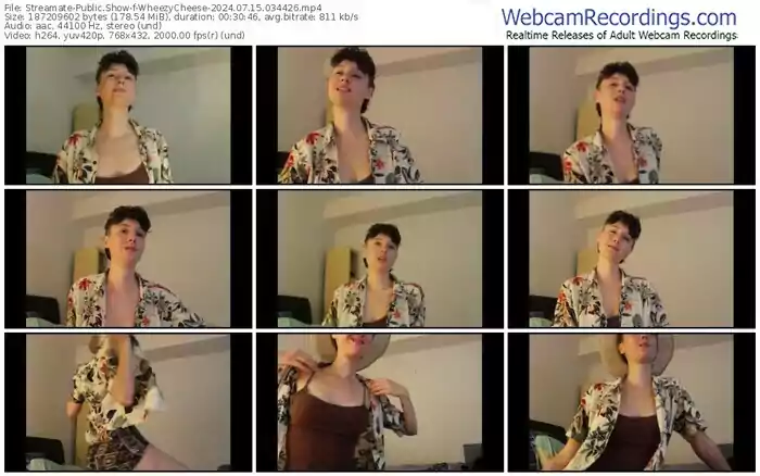 2024/07/15/streamate-wheezycheese-03-44-26