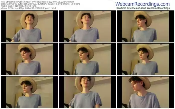 2024/07/15/streamate-wheezycheese-22-34-39