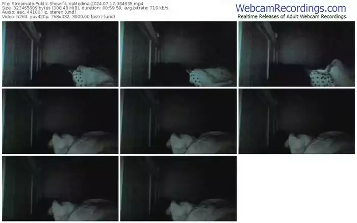 2024/07/17/streamate-linamedina-08-46-35
