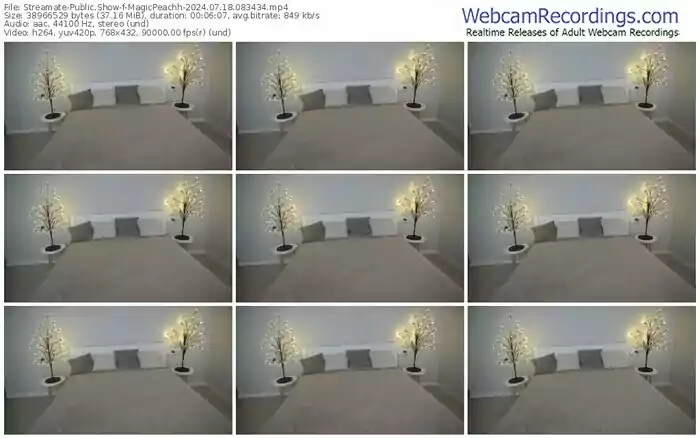 2024/07/18/streamate-magicpeachh-08-34-34