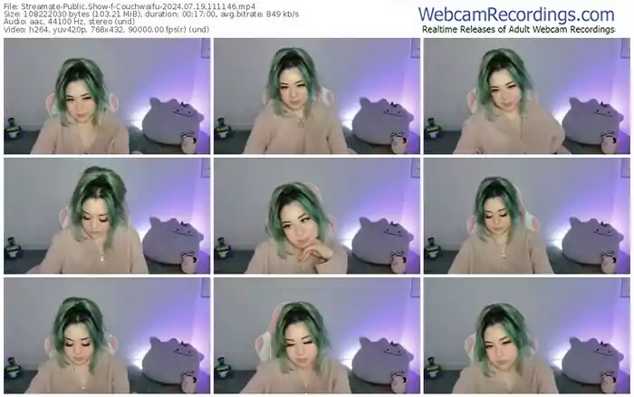 2024/07/19/streamate-couchwaifu-11-11-46