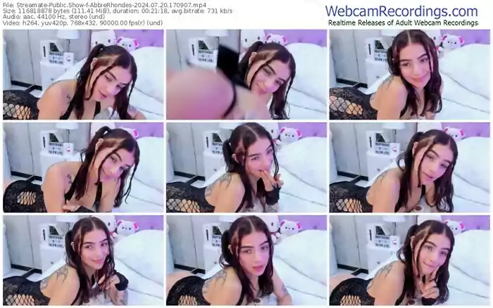 2024/07/20/streamate-abbierhondes-17-09-07