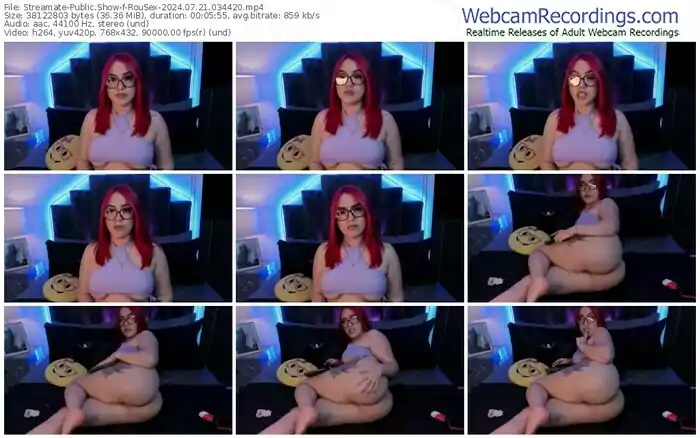 2024/07/21/streamate-rousex-03-44-20