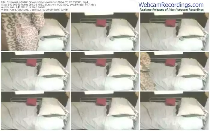 2024/07/22/streamate-gizellewintour-23-03-11