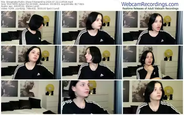 2024/07/22/streamate-noreendia-11-45-04