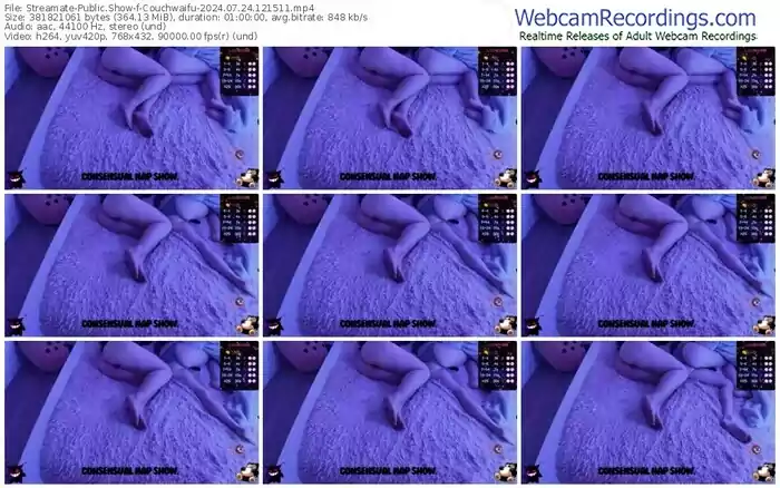 2024/07/24/streamate-couchwaifu-12-15-11