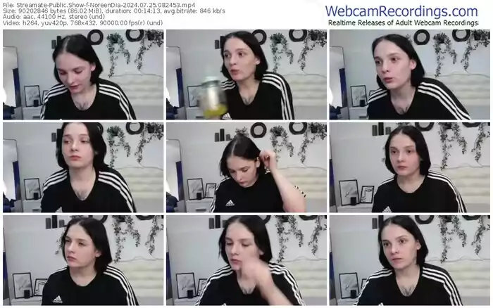 2024/07/25/streamate-noreendia-08-24-53