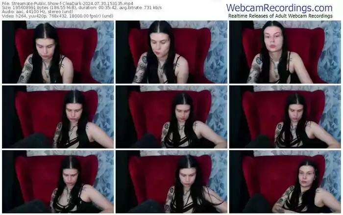 2024/07/30/streamate-cleadark-15-31-35