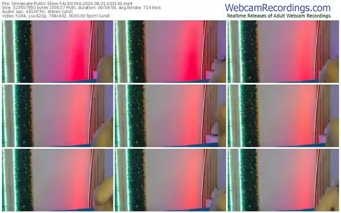 2024/08/01/streamate-alesiyaa-03-31-30