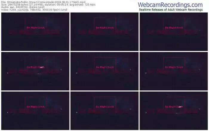 2024/08/01/streamate-crimxonjade-17-34-41