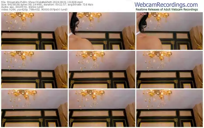 2024/08/01/streamate-kalabekhett-13-18-28