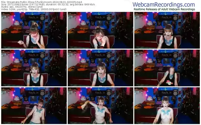 2024/08/01/streamate-punkunicorn-02-00-35