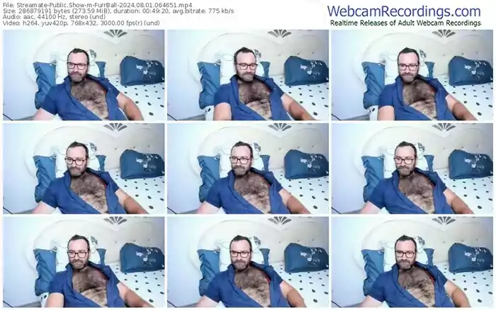 2024/08/01/streamate-furrball-06-46-51