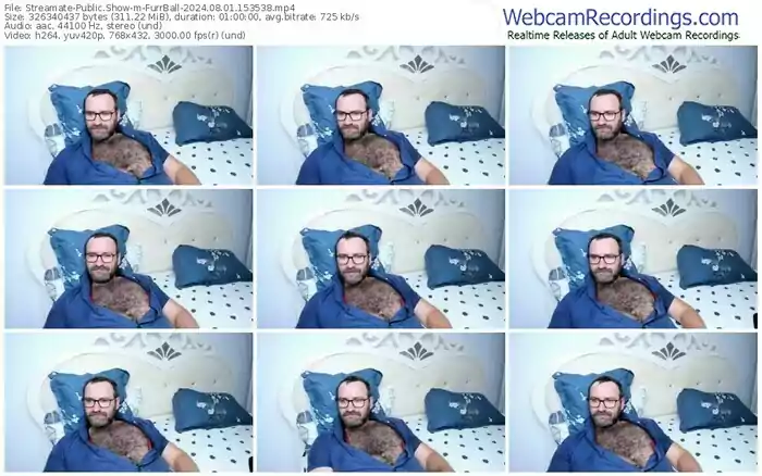 2024/08/01/streamate-furrball-15-35-38