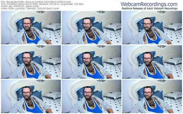 2024/08/02/streamate-furrball-02-56-10