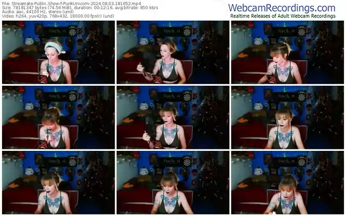 2024/08/03/streamate-punkunicorn-18-16-52