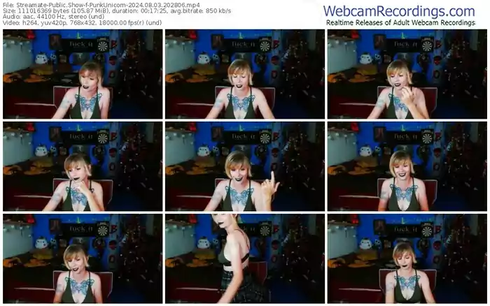 2024/08/03/streamate-punkunicorn-20-28-06