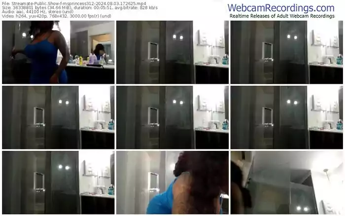 2024/08/03/streamate-msprincess312-17-26-25