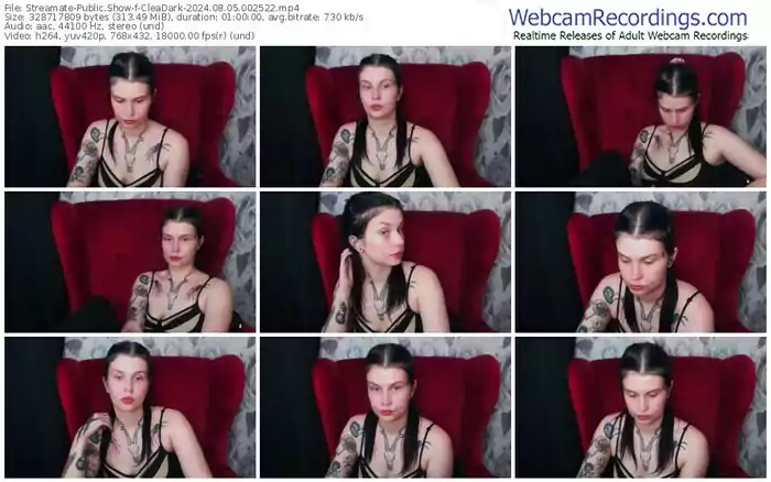 2024/08/05/streamate-cleadark-00-25-22