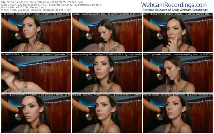 2024/08/05/streamate-destinev-17-47-43