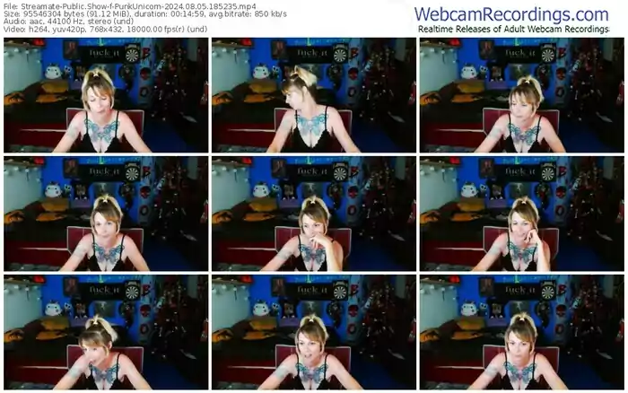 2024/08/05/streamate-punkunicorn-18-52-35