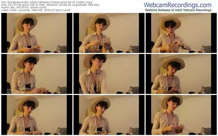 2024/08/05/streamate-wheezycheese-23-06-11