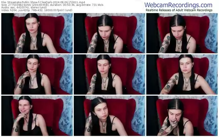 2024/08/06/streamate-cleadark-15-36-11