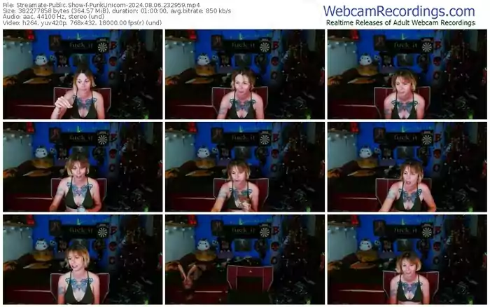 2024/08/06/streamate-punkunicorn-23-29-59