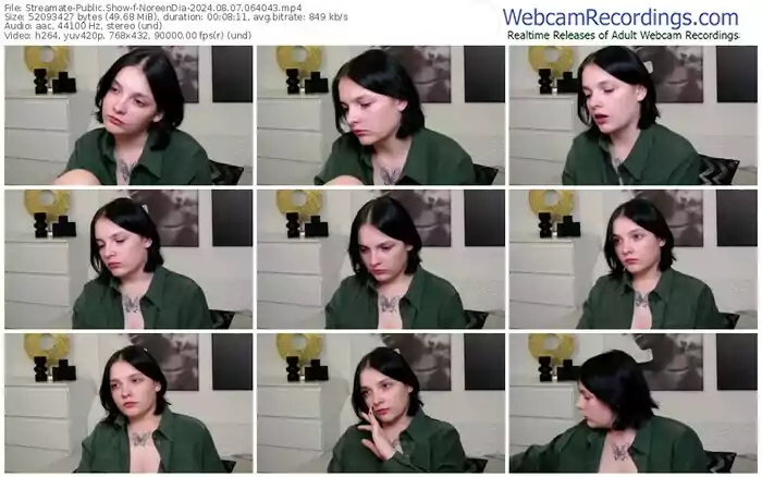 2024/08/07/streamate-noreendia-06-40-43