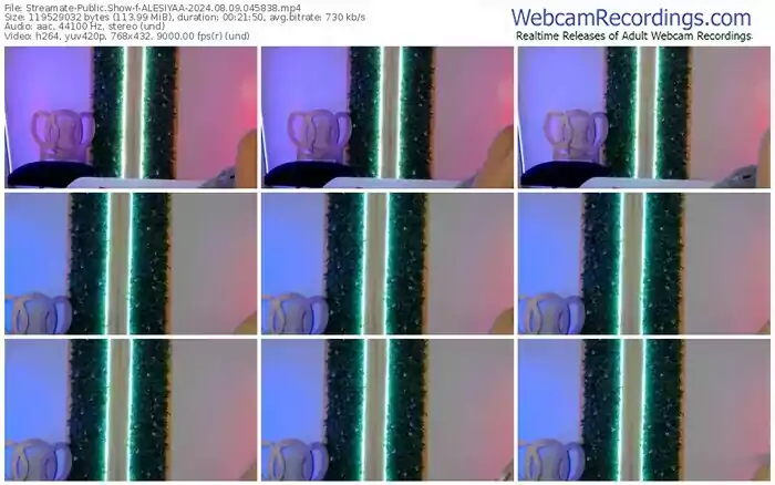 2024/08/09/streamate-alesiyaa-04-58-38