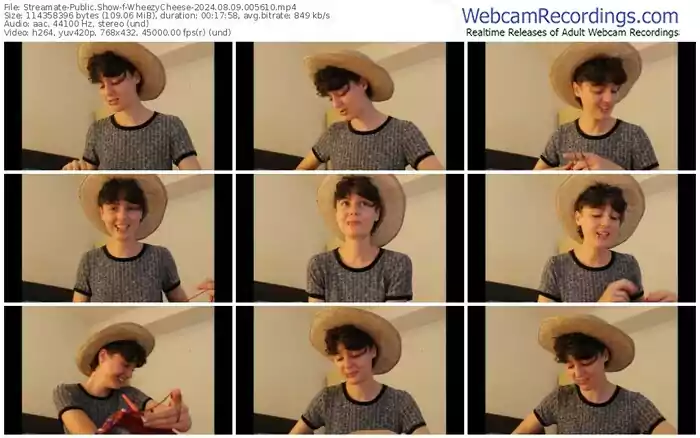 2024/08/09/streamate-wheezycheese-00-56-10