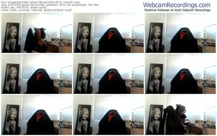 2024/08/11/streamate-brival-16-19-41