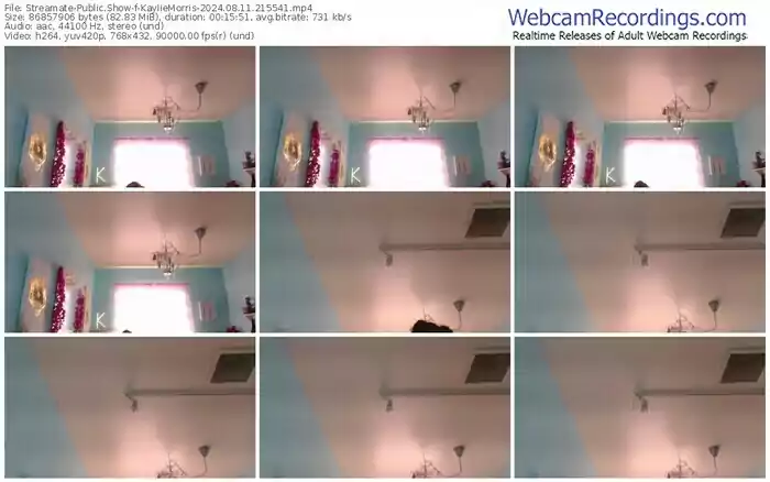 2024/08/11/streamate-kayliemorris-21-55-41