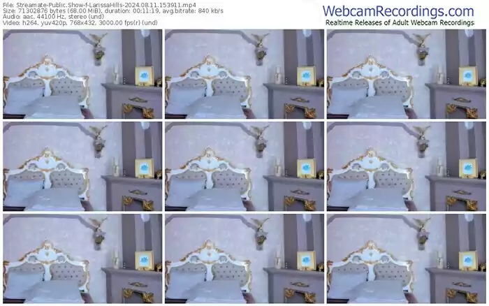 2024/08/11/streamate-larissahills-15-39-11