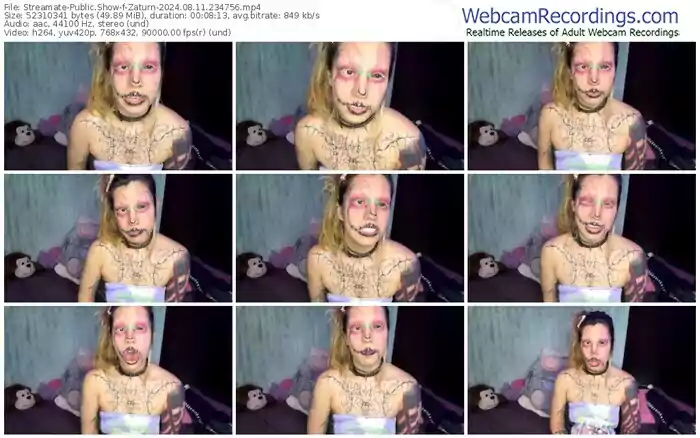 2024/08/11/streamate-zaturn-23-47-56