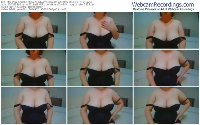 2024/08/12/streamate-ladyofyourdreams19-21-51-21