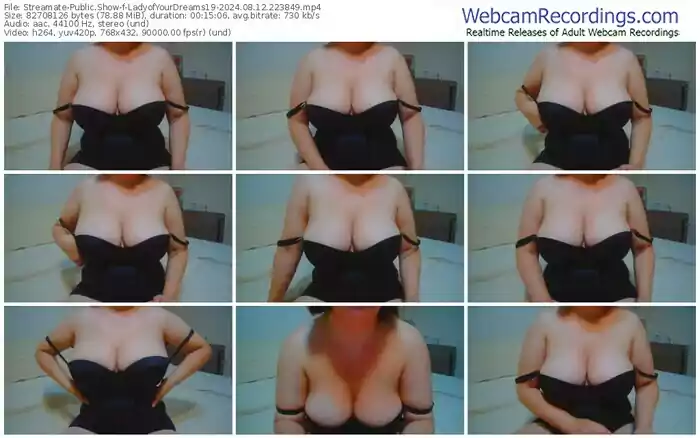 2024/08/12/streamate-ladyofyourdreams19-22-38-49