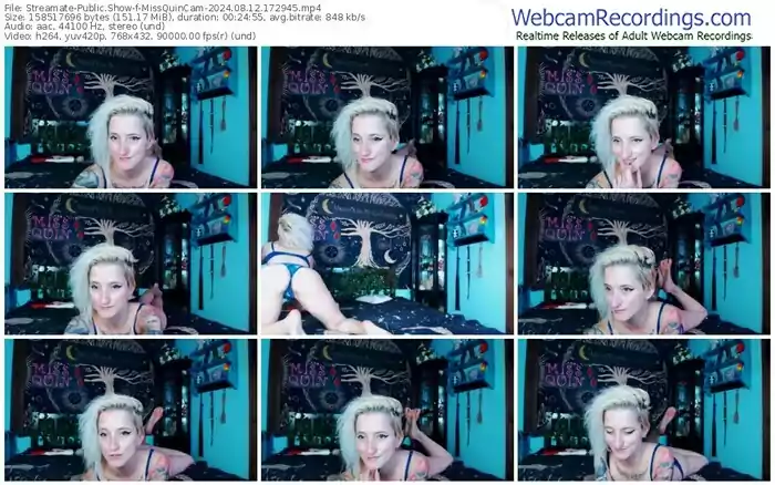 2024/08/12/streamate-missquincam-17-29-45