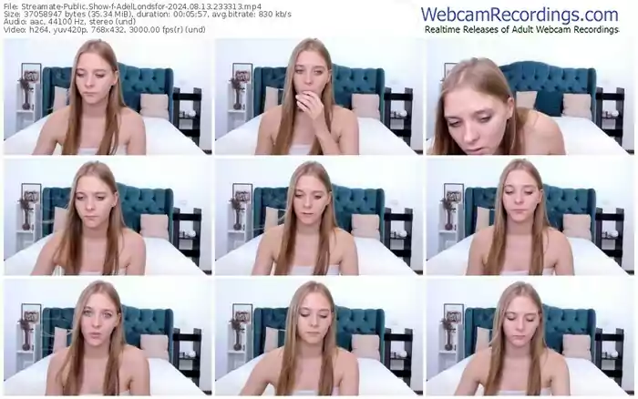 2024/08/13/streamate-adellondsfor-23-33-13
