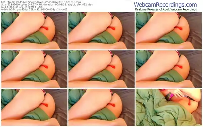 2024/08/13/streamate-blairharper-00-18-15