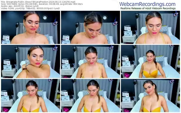 2024/08/13/streamate-brianapreston-12-42-56
