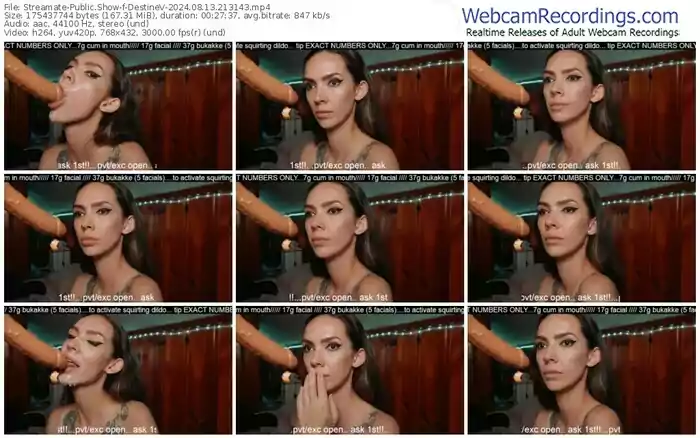 2024/08/13/streamate-destinev-21-31-43