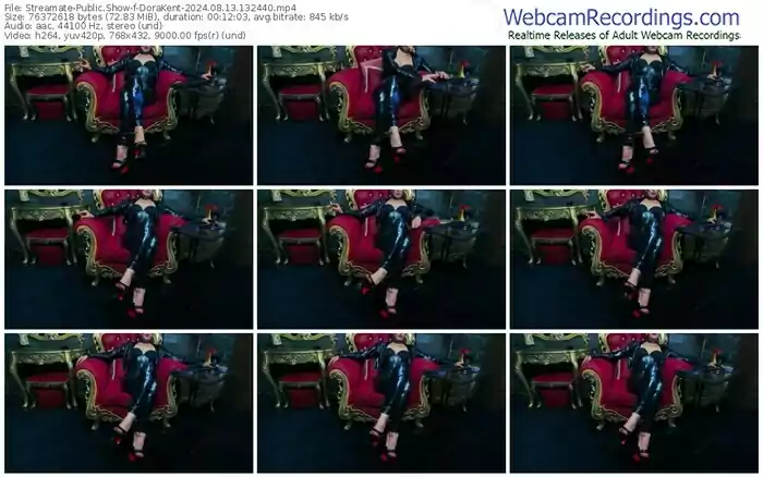 2024/08/13/streamate-dorakent-13-24-40